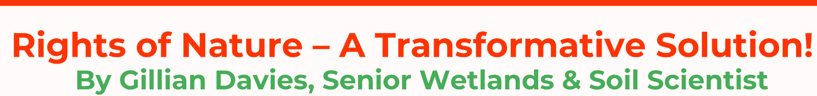 Newsletter%20Headers%20(3)(3).png