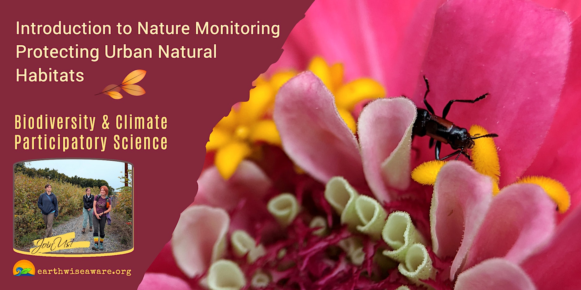 nature%20monitor.jpeg